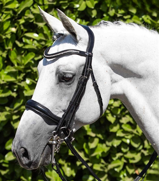 Premier Equine Abriano Anatomic Double Bridle - Equine Horse Wear 