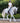 Premier Equine Alberta CC Satin Dressage Square - Equine Horse Wear 