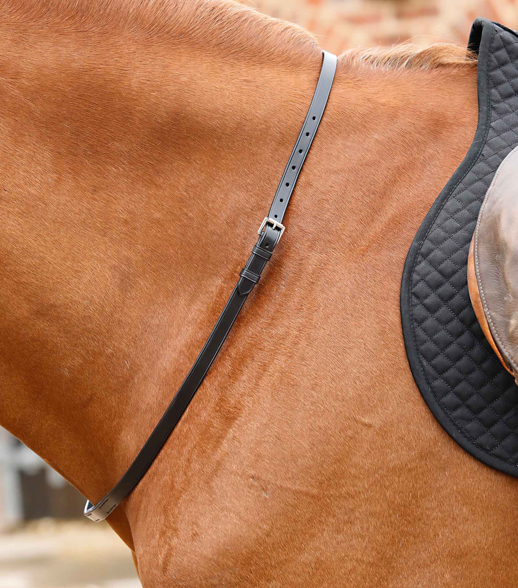Premier Equine Altino Horse Neck Strap - Equine Horse Wear 