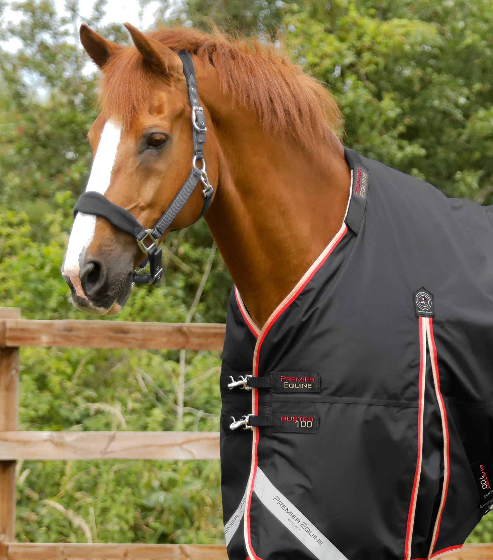Premier Equine Buster 100g Turnout Rug with Snug-Fit Neck Cover - Equine Horse Wear 
