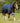 Premier Equine Buster 100g Turnout Rug with Snug-Fit Neck Cover - Equine Horse Wear 