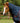 Premier Equine Buster 100g Turnout Rug with Snug-Fit Neck Cover - Equine Horse Wear 