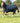 Premier Equine Buster 150g Turnout Rug with Classic Neck Cover - Equine Horse Wear 