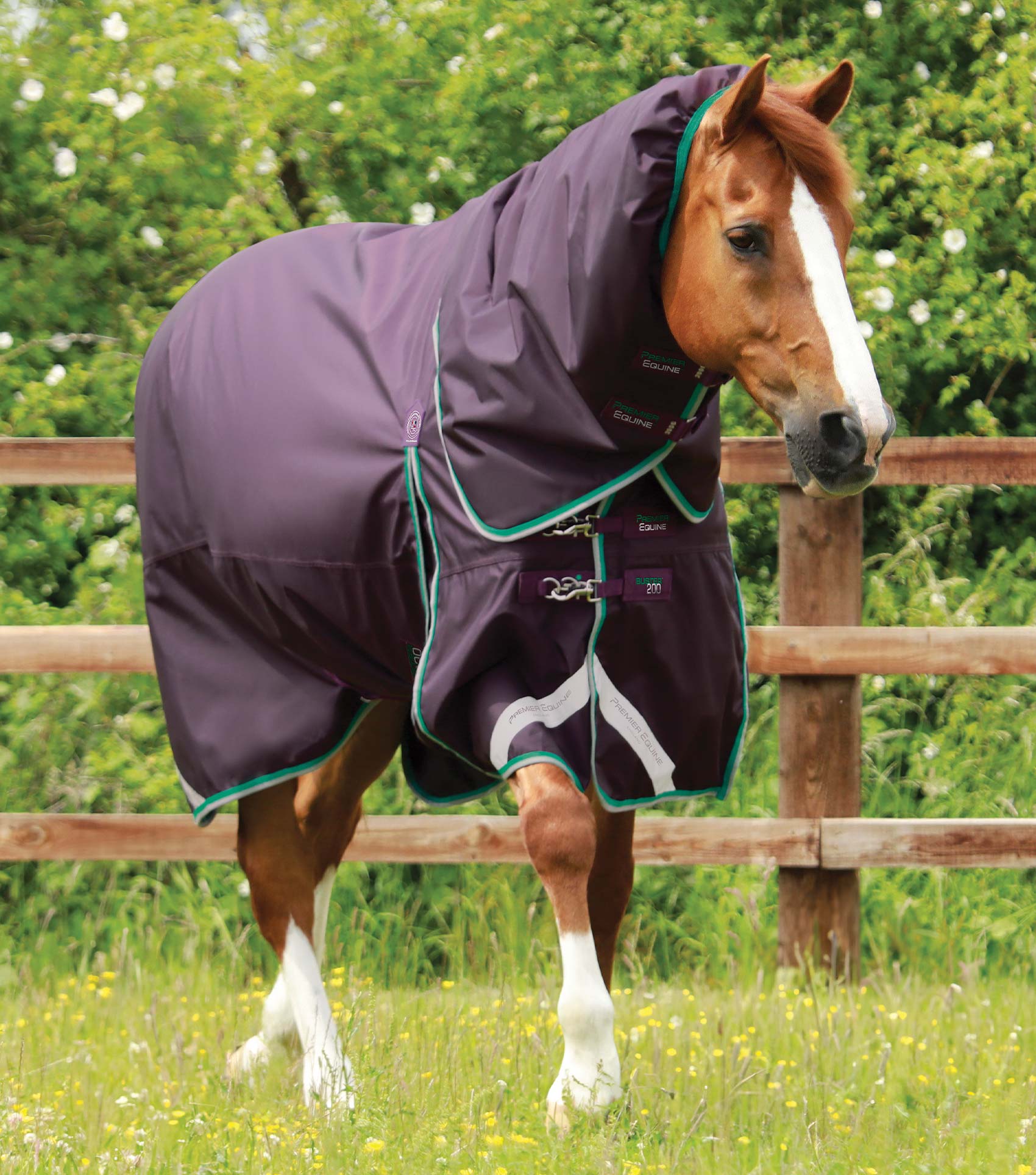 Premier Equine Buster 200g Turnout Rug with Snug-Fit Neck Cover - Equine Horse Wear 