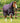 Premier Equine Buster 200g Turnout Rug with Snug-Fit Neck Cover - Equine Horse Wear 