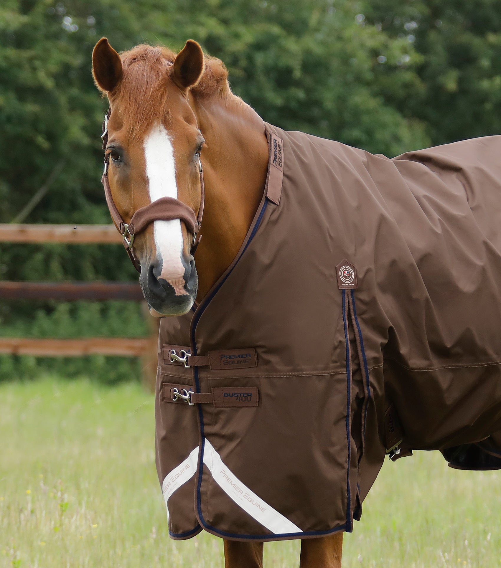 Premier Equine Buster 400g Turnout Rug with Snug-Fit Neck Cover - Equine Horse Wear 