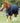 Premier Equine Buster 50g Original Turnout Rug ( No Neck Rug) - Equine Horse Wear 