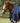 Premier Equine Buster 50g Turnout Rug with Snug-Fit Neck Cover - Equine Horse Wear 