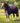 Premier Equine Buster 70g Turnout Rug with Classic Neck Cover - Equine Horse Wear 