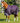 Premier Equine Buster 70g Turnout Rug with Classic Neck Cover - Equine Horse Wear 
