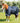 Premier Equine Buster 70g Turnout Rug with Classic Neck Cover - Equine Horse Wear 