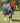 Premier Equine Buster Hardy 0g Half Neck Turnout Rug - Equine Horse Wear 