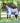 Premier Equine Buster Stay-Dry Super Lite Fly Rug with Surcingles - Equine Horse Wear 
