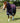 Premier Equine Buster Storm 100g Combo Turnout Rug with Snug-Fit Neck - Equine Horse Wear 