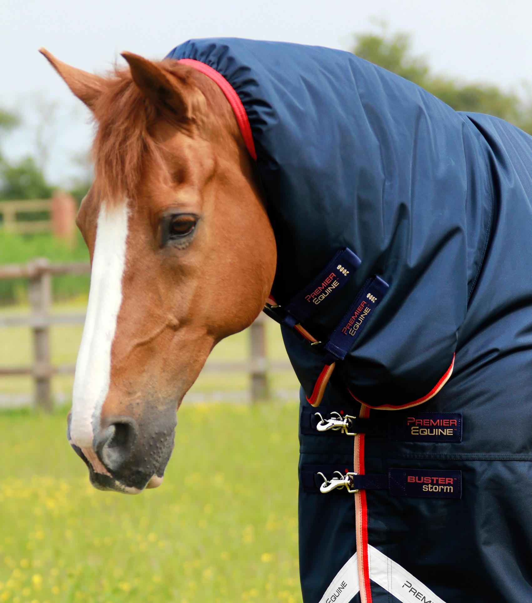Premier Equine Buster Storm 200g Combo Turnout Rug with Snug-Fit Neck - Equine Horse Wear 