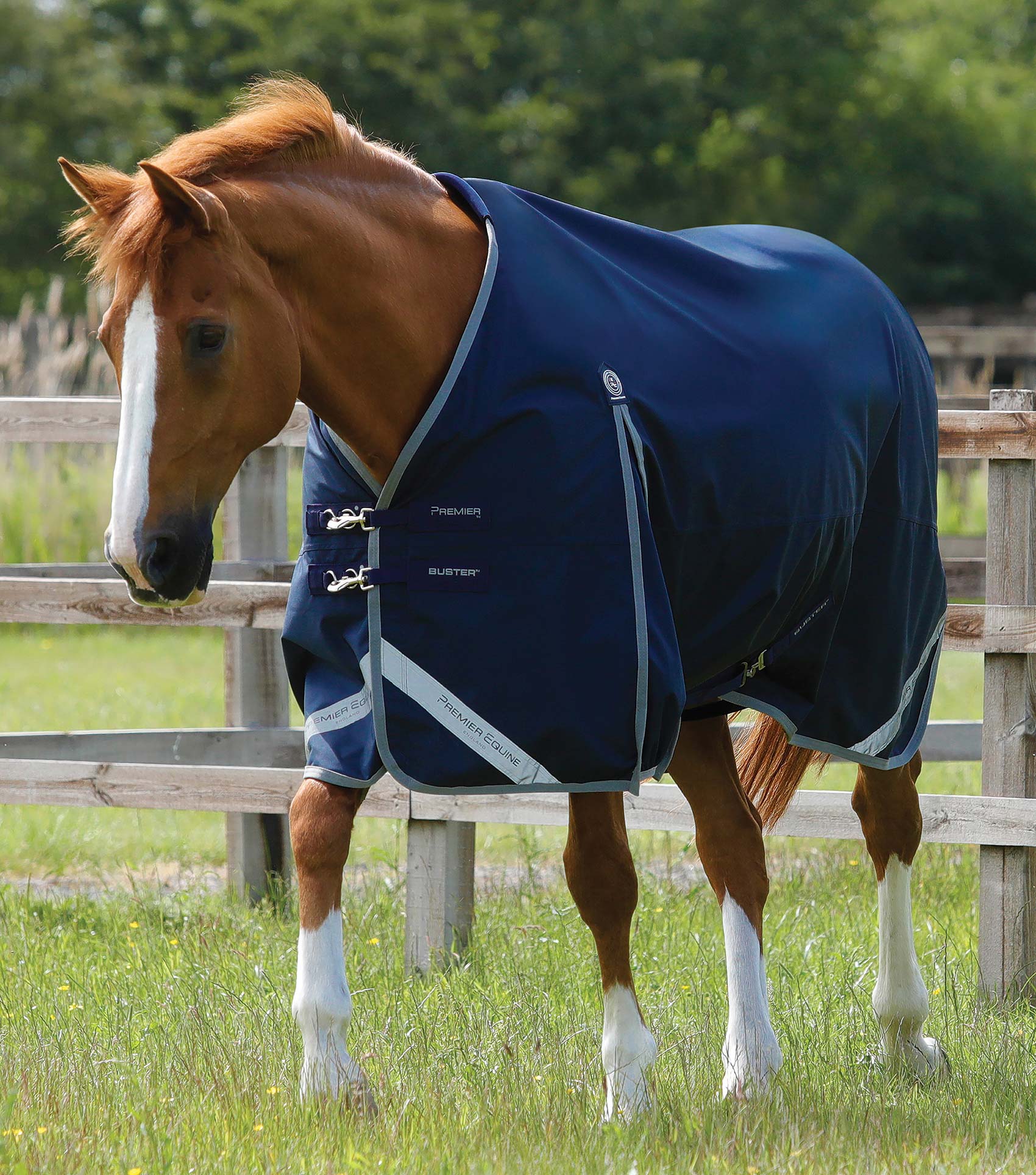 Premier Equine Buster Zero Original Turnout Rug - Equine Horse Wear 