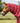 Premier Equine Buster Zero Turnout Rug with Classic Neck Cover - Equine Horse Wear 