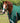 Premier Equine Buster Zero Turnout Rug with Classic Neck Cover - Equine Horse Wear 