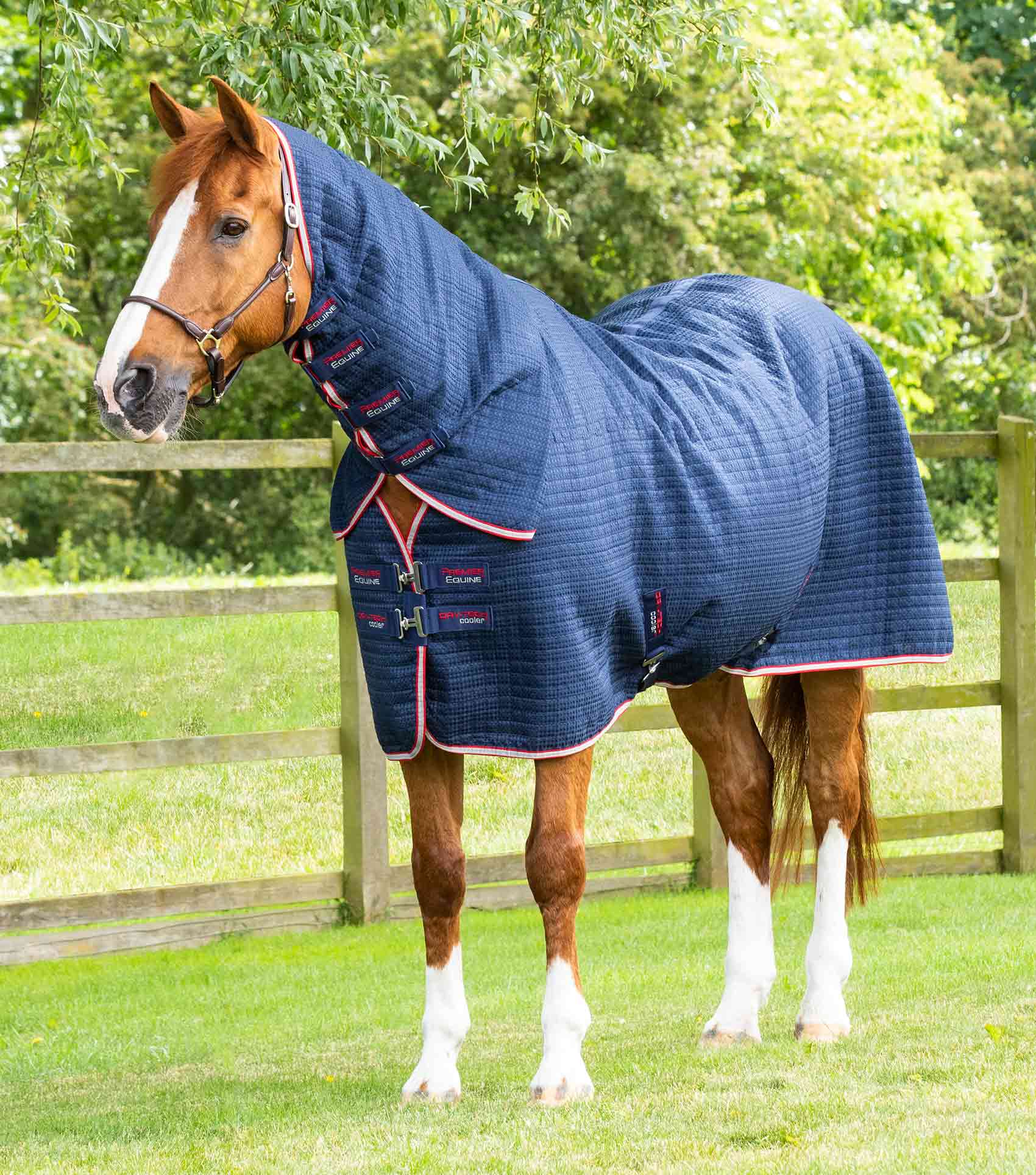 Premier Equine Combo Dry-Tech Horse Cooler Rug - Equine Horse Wear 
