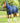 Premier Equine Combo Dry-Tech Horse Cooler Rug - Equine Horse Wear 