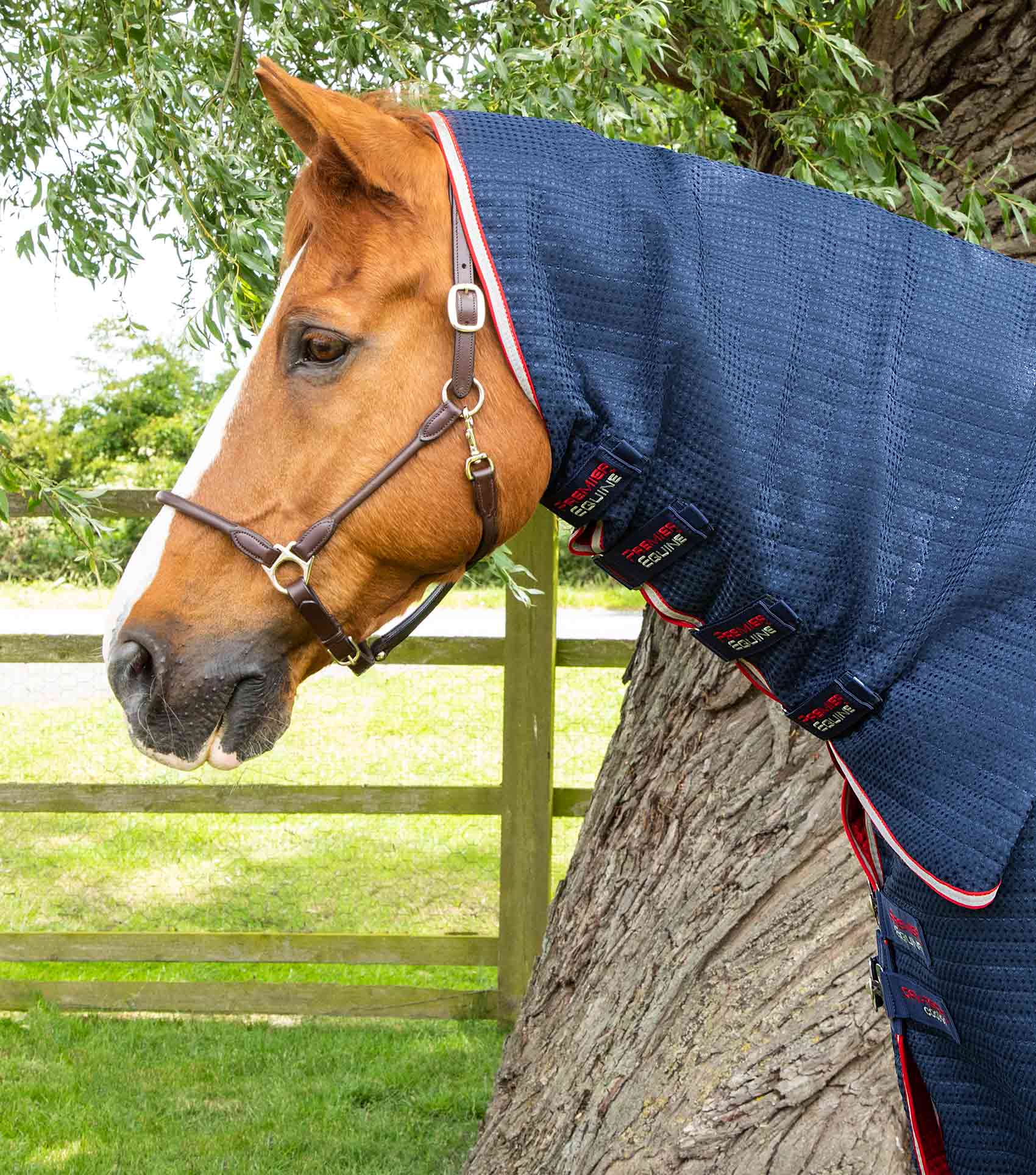 Premier Equine Combo Dry-Tech Horse Cooler Rug - Equine Horse Wear 