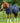 Premier Equine Garissa Stable Rug 400g - Equine Horse Wear 