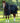 Premier Equine Lucanta 450g Stable Rug with Neck Cover - Equine Horse Wear 