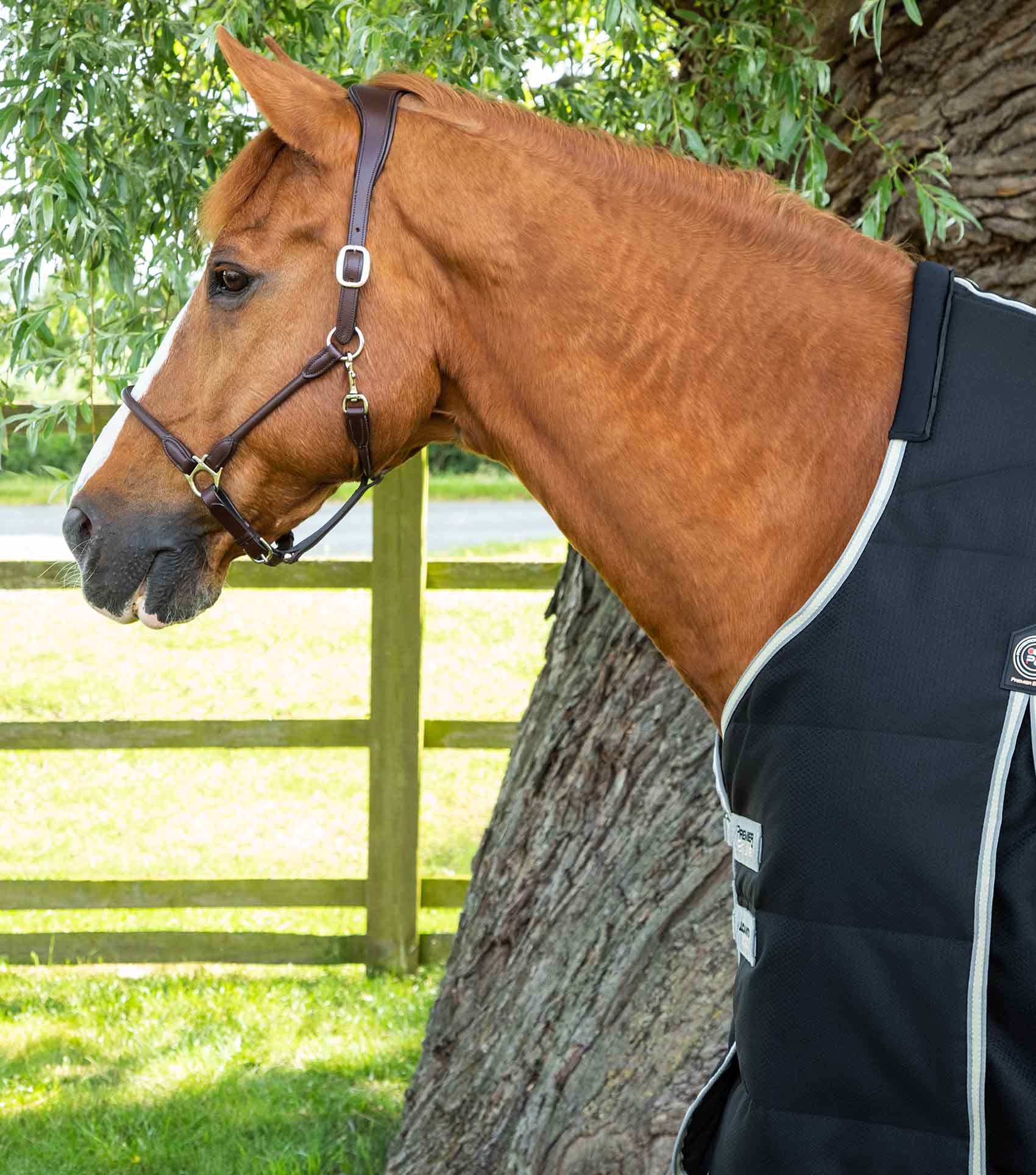 Premier Equine Lucanta Demi Stable 100g - Equine Horse Wear 