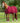 Premier Equine PremTex Horse Cooler Rug - Equine Horse Wear 