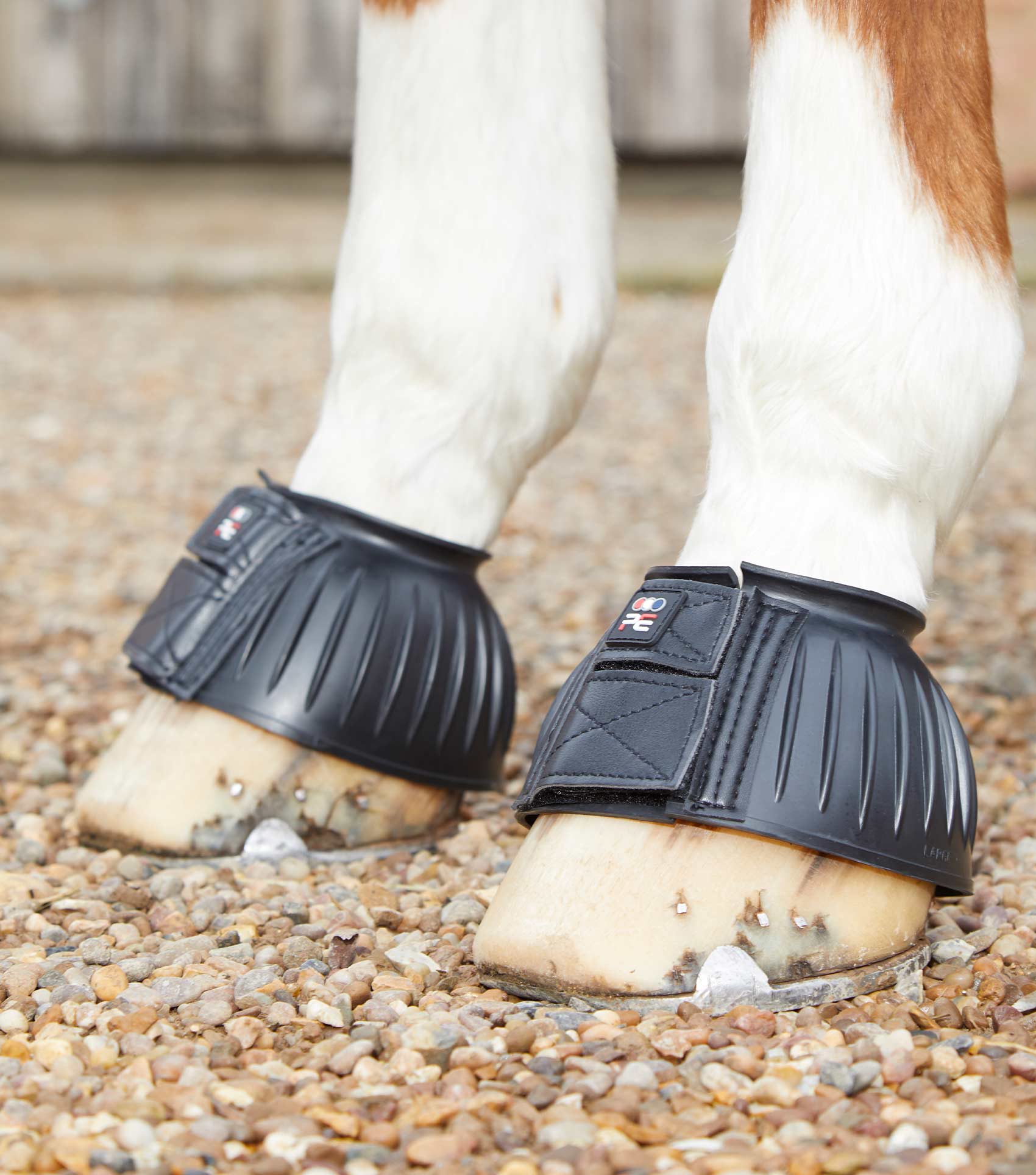 Premier Equine Rubber Bell Over Reach Boots - Equine Horse Wear 