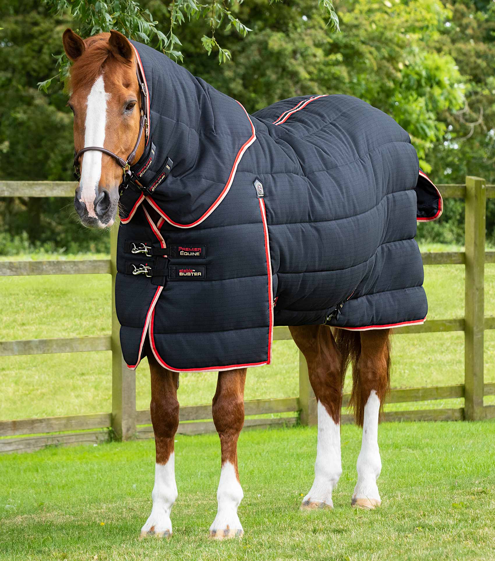 Premier Equine Stable Buster 450g Stable Rug with Neck Cover - Equine Horse Wear 