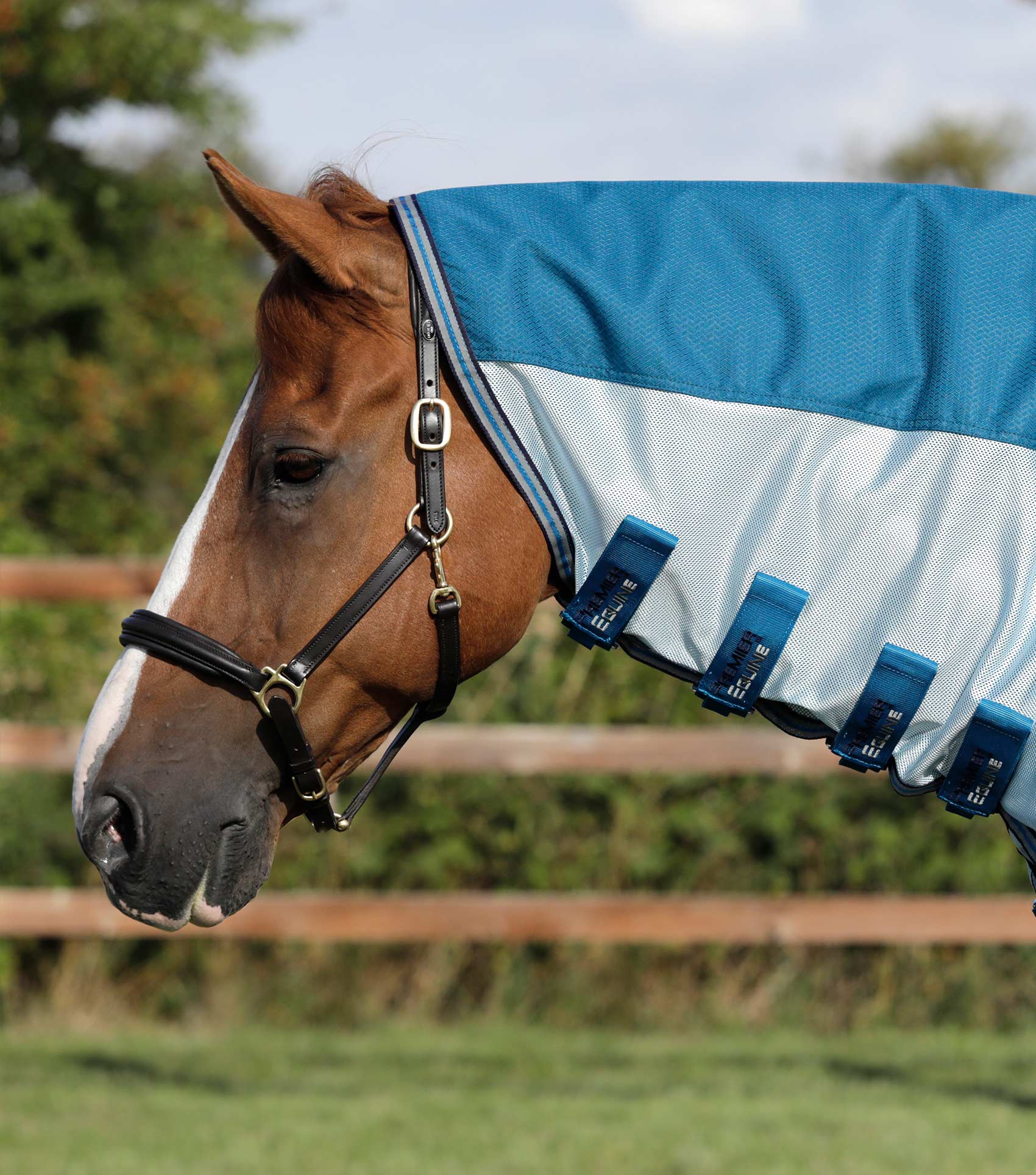 Premier Equine Stay-Dry Mesh Air Fly Rug with Surcingles - Equine Horse Wear 