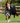 Premier Equine Titan 100g Turnout Rug with Snug-Fit Neck Cover - Equine Horse Wear 
