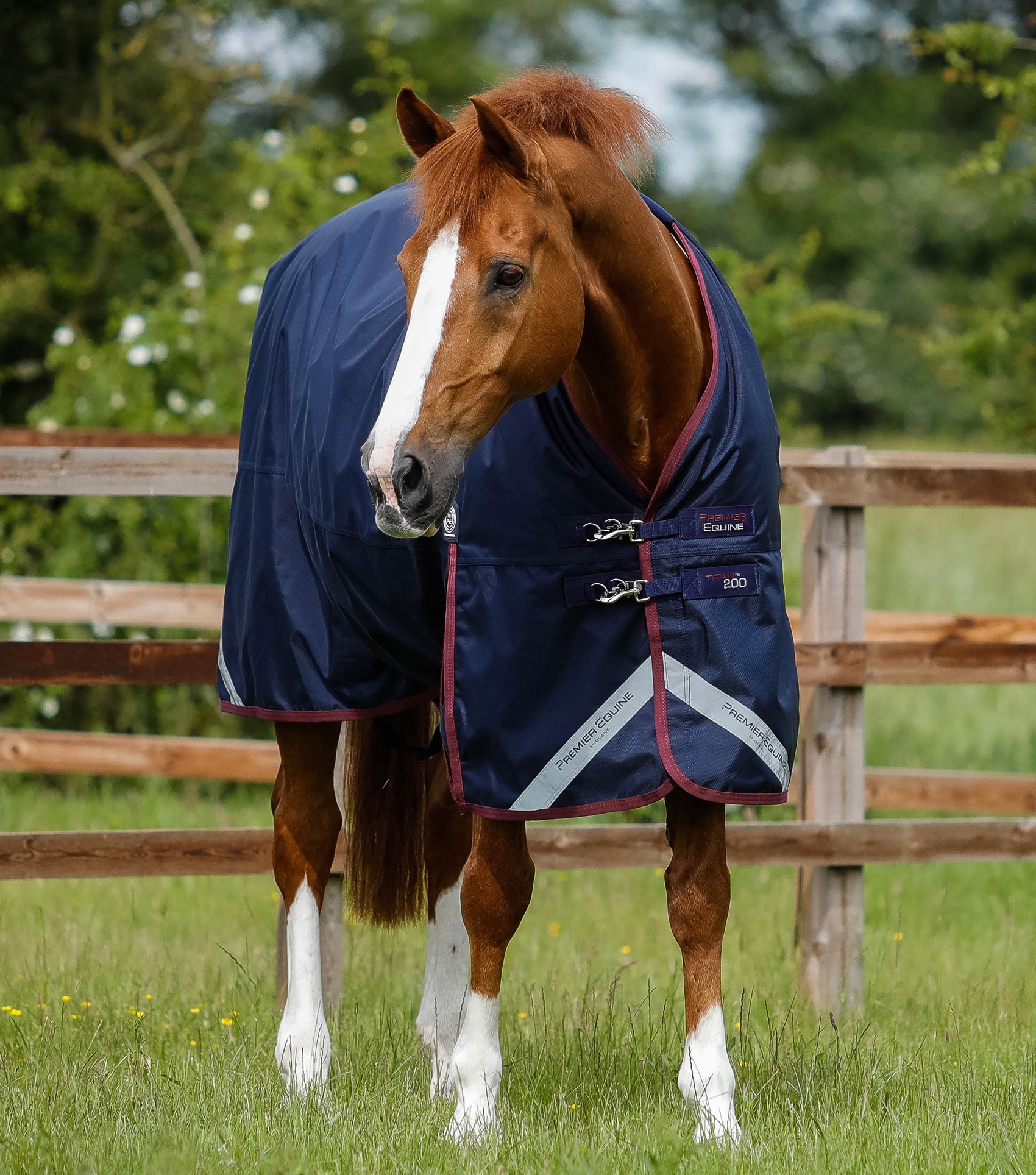 Premier Equine Titan 200g Original Turnout Rug ( NO NECK RUG OR ATTACHMENTS) - Equine Horse Wear 