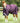 Premier Equine Titan 200g Original Turnout Rug ( NO NECK RUG OR ATTACHMENTS) - Equine Horse Wear 