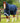 Premier Equine Titan 200g Turnout Rug with Snug-Fit Neck Cover - Equine Horse Wear 