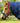 Premier Equine Titan 450g Turnout Rug with Snug-Fit Neck Cover - Equine Horse Wear 