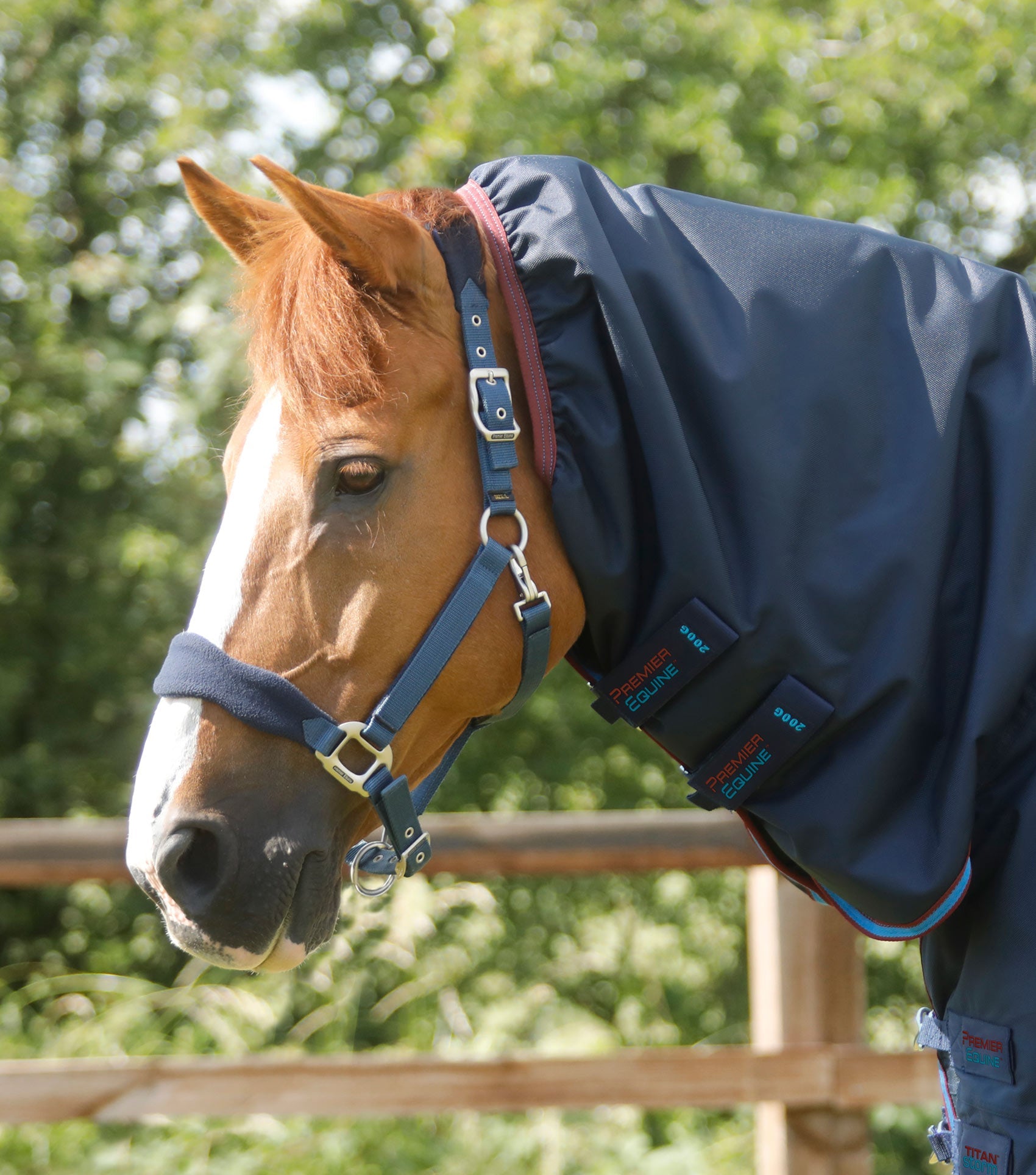 Premier Equine Titan Storm 200g Combo Turnout Rug with Snug-Fit Neck - Equine Horse Wear 