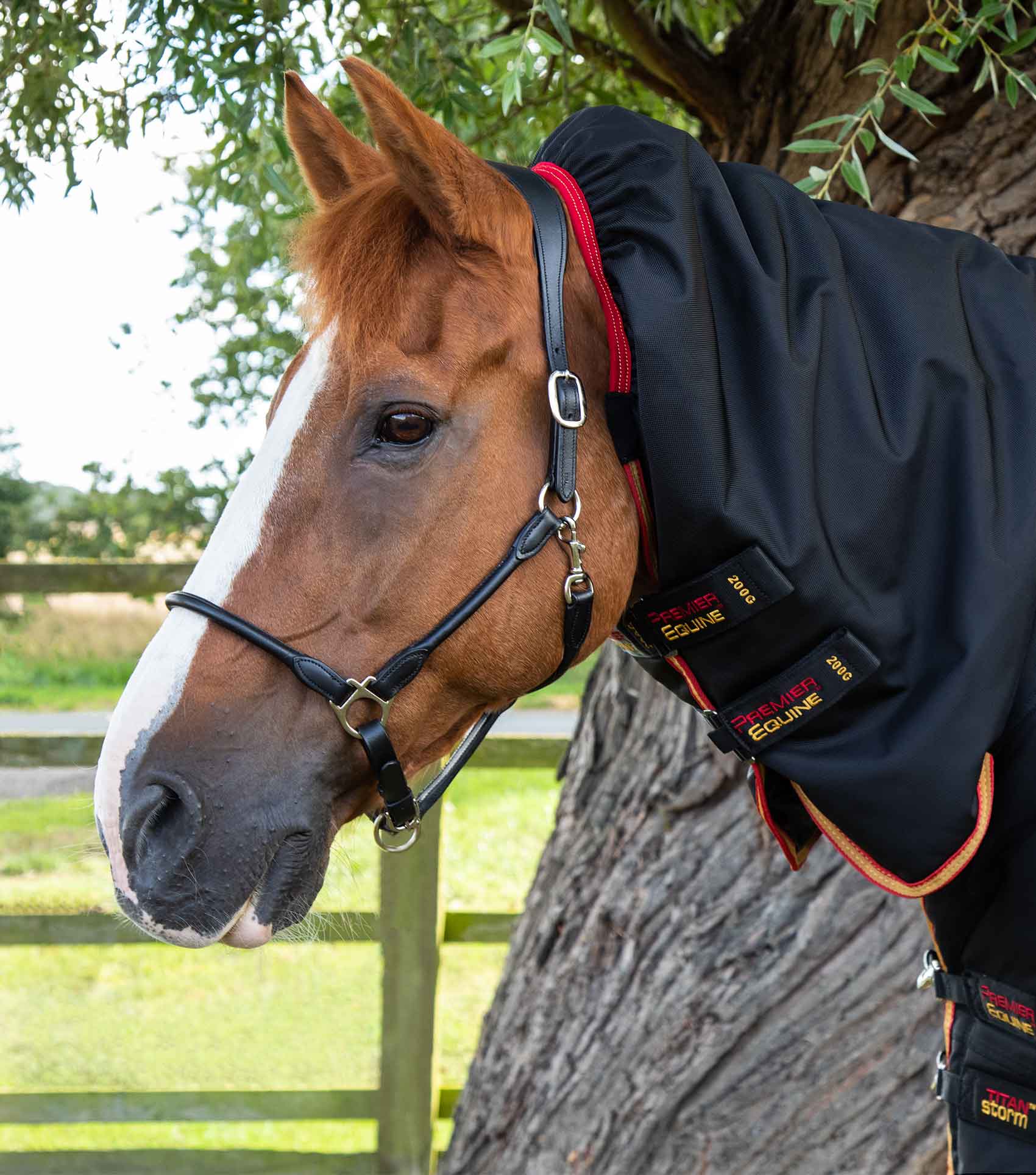 Premier Equine Titan Storm 450g Combo Turnout Rug with Snug-Fit Neck - Equine Horse Wear 