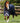 Premier Equine Titan Trio Complete 4 in 1 Turnout Rug - Equine Horse Wear 