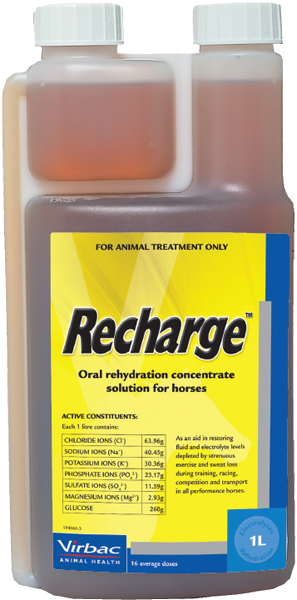 Recharge Horse - Equine Nutritional & Performance Supplements 