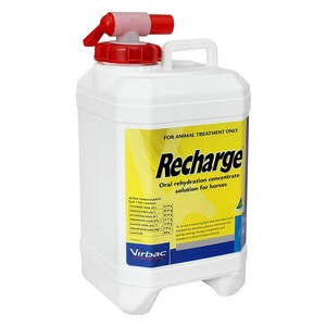 Recharge Horse - Equine Nutritional & Performance Supplements 