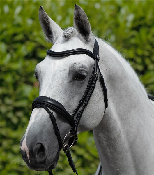 Premier Equine Rizzo Anatomic Snaffle Bridle with Flash