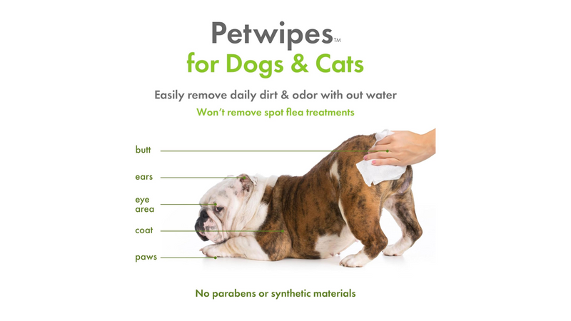 Petkin Plant Based Pet Wipes 100 Pack