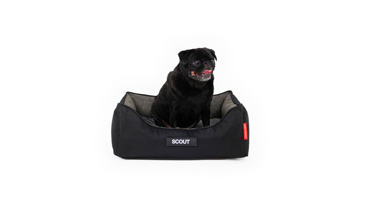 EzyDog 2in1 Ortho Smart Bed Charcoal/Black