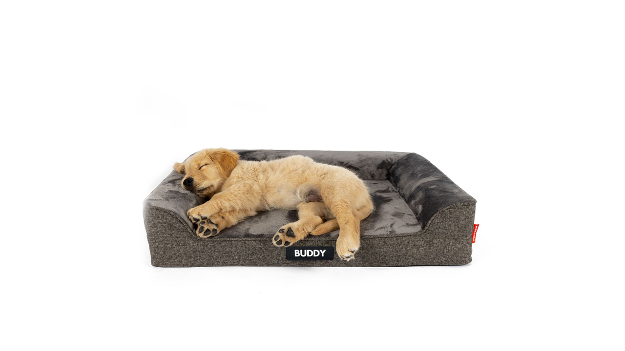 EzyDog Next-Gen Ortho Lounger Charcoal