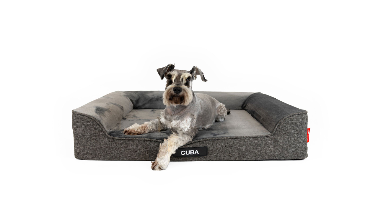 EzyDog Next-Gen Ortho Lounger Charcoal