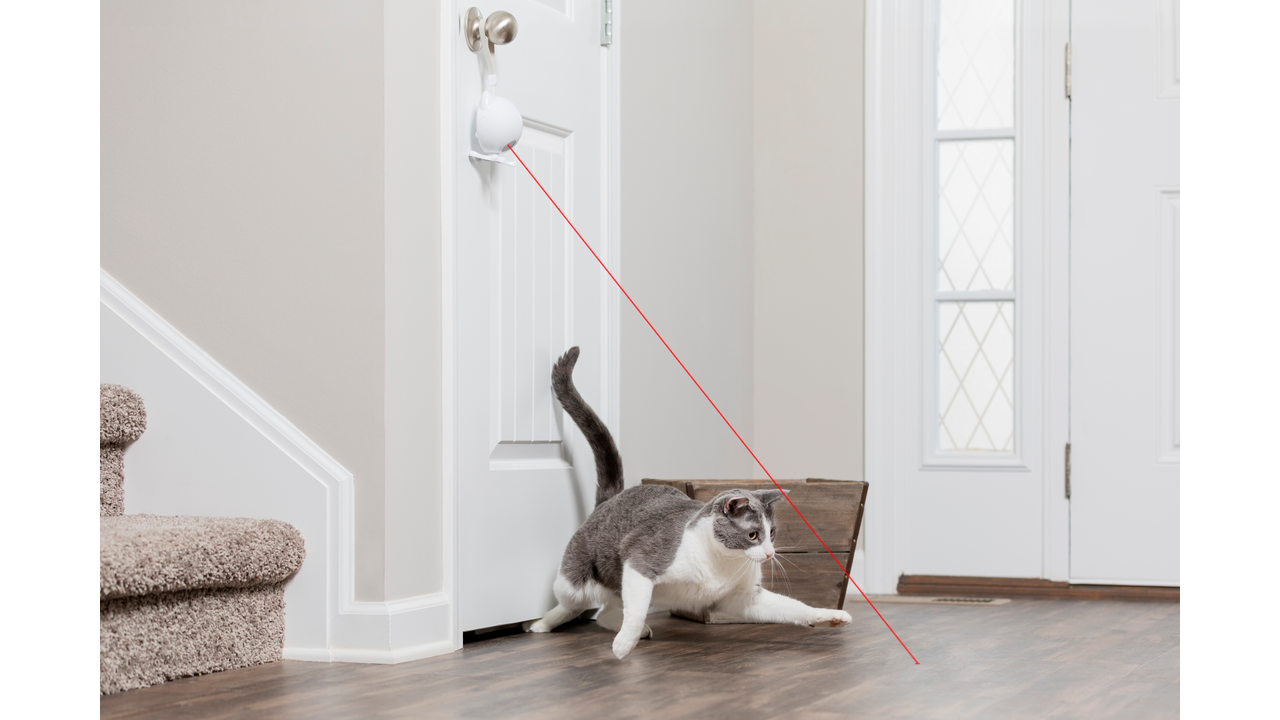 PetSafe Dancing Dot Laser Cat Toy