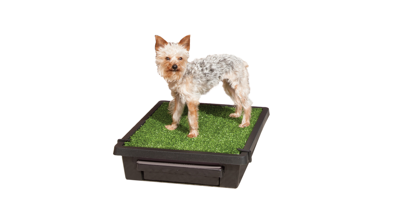 Petsafe The Pet Loo Small