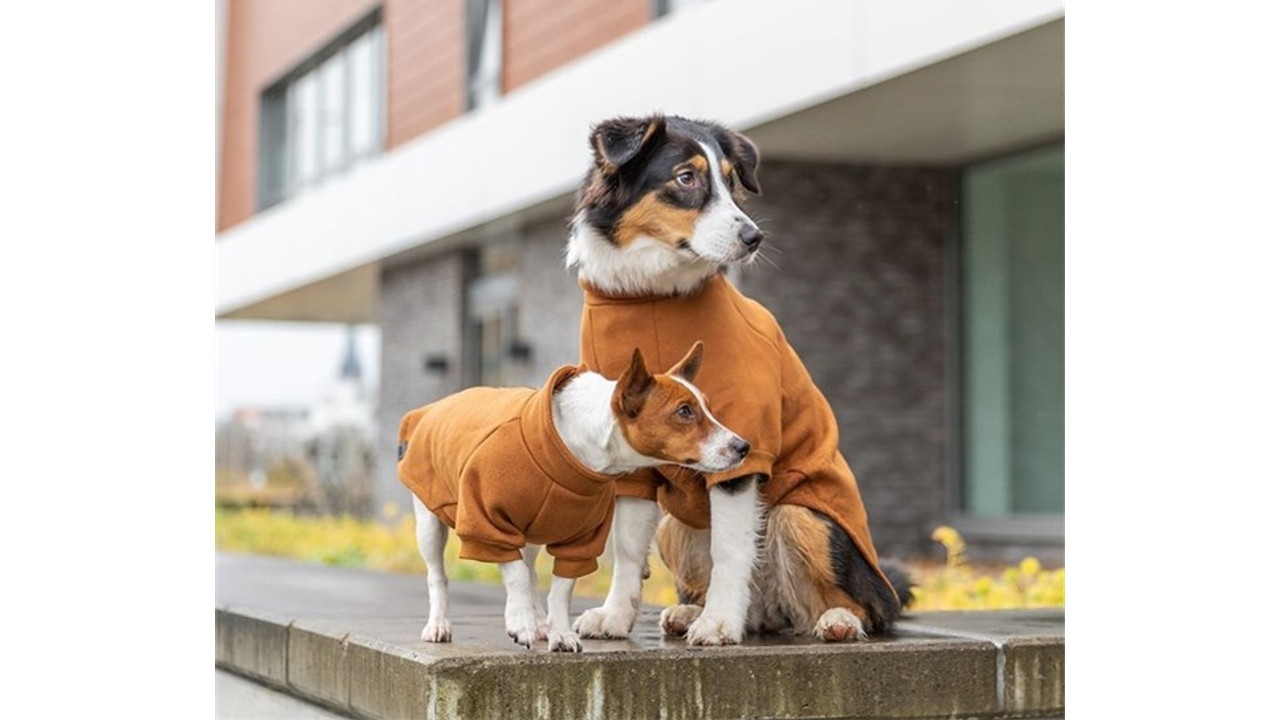 Trixie Amsterdam Sweatshirt Rust